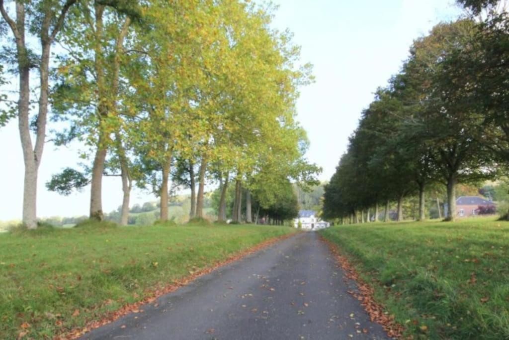 La Maisonnette Saint-Pierre-en-Auge Bagian luar foto