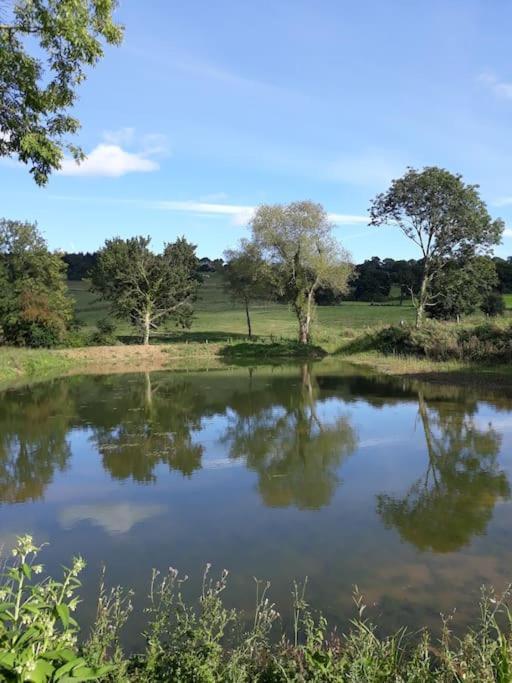La Maisonnette Saint-Pierre-en-Auge Bagian luar foto